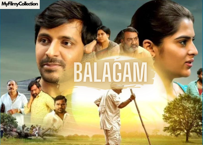 Balagam Movie Budget & Collection