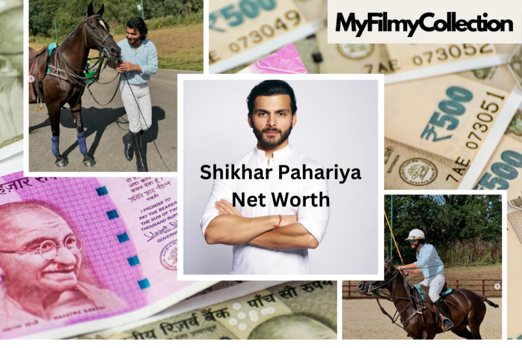 Shikhar Pahariya Net Worth 