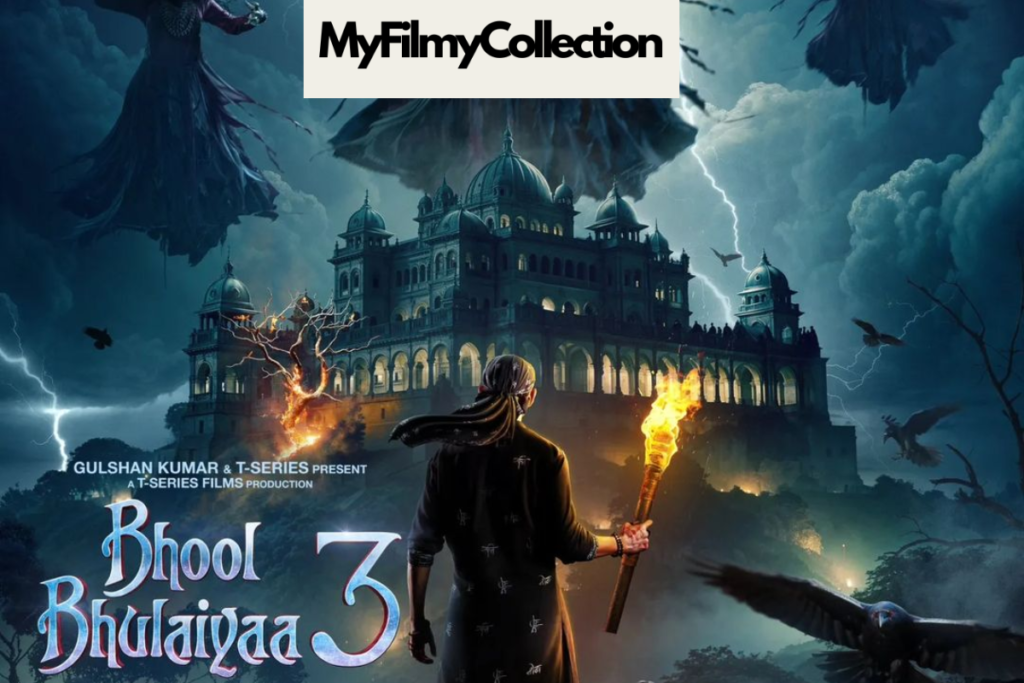 Bhool Bhulaiyaa 3 Budget